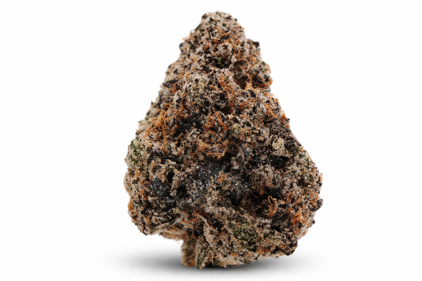Skittz Pop flower close-up